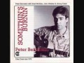 PETER BERNSTEIN-ISN'T THIS A LOVELY DAY