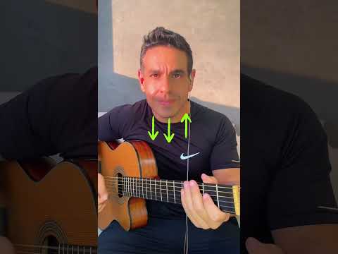 Como Se Toca Baião - Terra de Almofadas