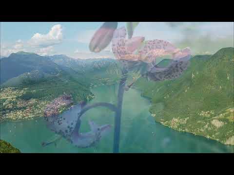 S isch jetzt Zyyt - Kathrin Burch & Flo