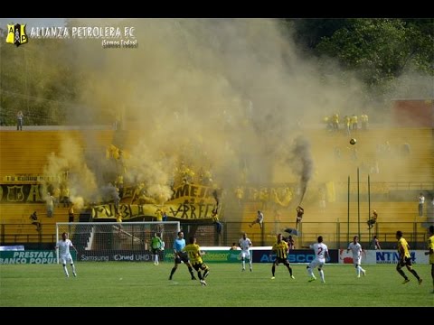 "Dominio Aurinegro Aniversario XXIV Alianza Petrolera F.C" Barra: Dominio Aurinegro &bull; Club: Alianza Petrolera
