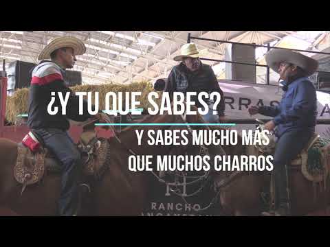 CONVIVENCIA DE DAVID ALONSO , CUCO RAYA Y ALEJANDRO GOÑI ROJO  EN EL EXCELENCIA CHARRA