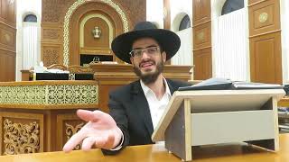 האם צריך לטבול קומקום או טוסטר וכלים חשמלים - והדין במגירות או המדפים של המקרר, הרב ינון עובדיה ברכה (הרב ינון עובדיה ברכה) - התמונה מוצגת ישירות מתוך אתר האינטרנט יוטיוב. זכויות היוצרים בתמונה שייכות ליוצרה. קישור קרדיט למקור התוכן נמצא בתוך דף הסרטון