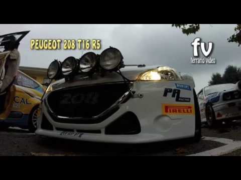 PROMO 22°Rally del Rubinetto 2015 Pinzano - Zegna by Ferrario Video 3'ASSOLUTI