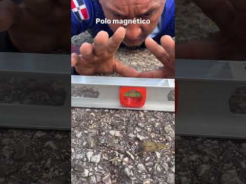 Polo magnético 🧲 Barahona, verdad o engaño visual? 🤔🤔🤔🤔🤔🤔🤔🤔🤔🤔🤔🤔🤔🤔🤔🤔🤔🤔🤔