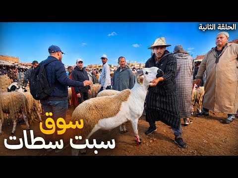 وثائقي: مباشر من سوق السبت سطات الشاوية | مع أثمنة الحولي العيد الأضحى 🐏بتاريخ 25/04/2026 