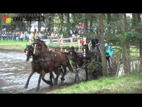 Tomas ERIKSSON Swe)   Marathon   CAI BREDA 2013