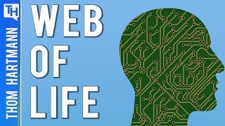 The Internet is Controlling YOU! (w/ Ramesh Srinivasan)