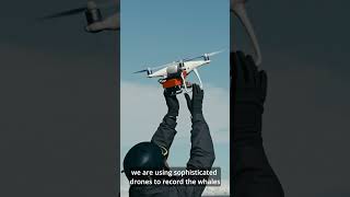 Asus Into the Depths of Antarctica with ASUS Creator Laptops