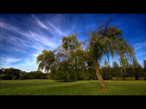 Siver Sands - Jens Gad