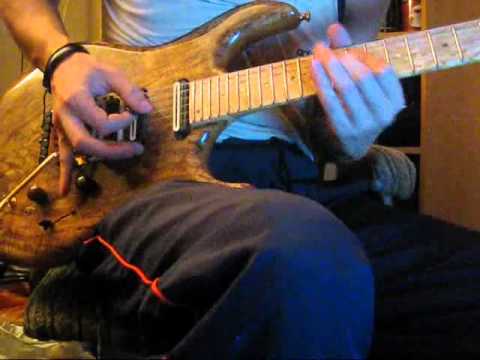 Tender Surrender (Steve Vai cover) by Igor Paspalj