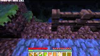 Minecraft Part 1