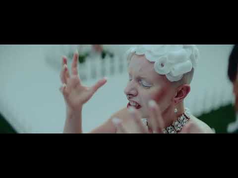 Gold Star Good Citizen - Die Shiny
