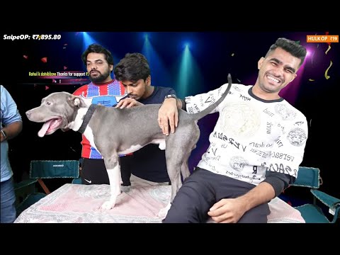 Simba with Shreeman legend ♥️ @shreeman legend live