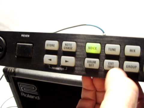 Alesis DM5 Demo.mpg