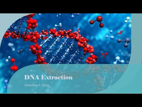 DNA Extraction