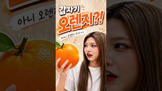 우리 오렌지 하자