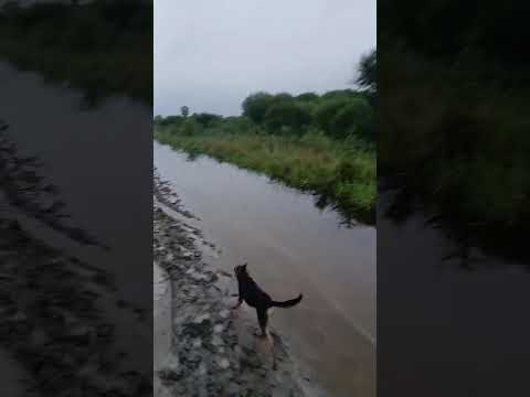 AL SUR DE PRESIDENCIA DE LA PLAZA PROVINCIA DEL CHACO