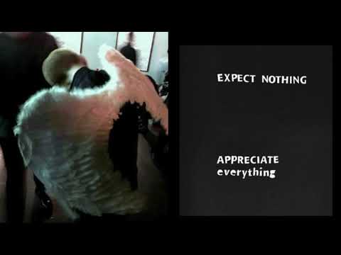 Bilgun Zayah - Сэрүүн Зүүд