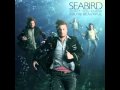 Seabird - Don't You Know You're Beautiful ...