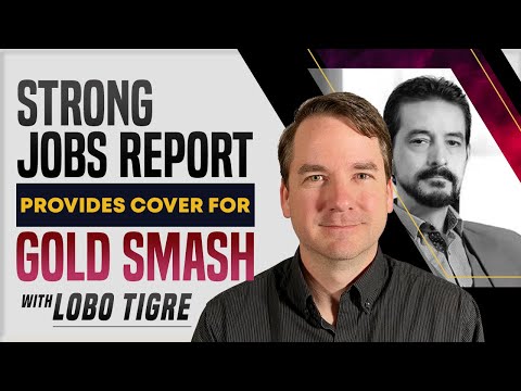 Strong Jobs Report Provides Cover for Gold Smash | Lobo Tigre