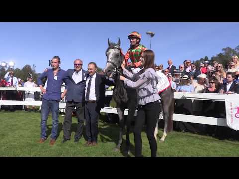 NP Racing Norsk Derby 17