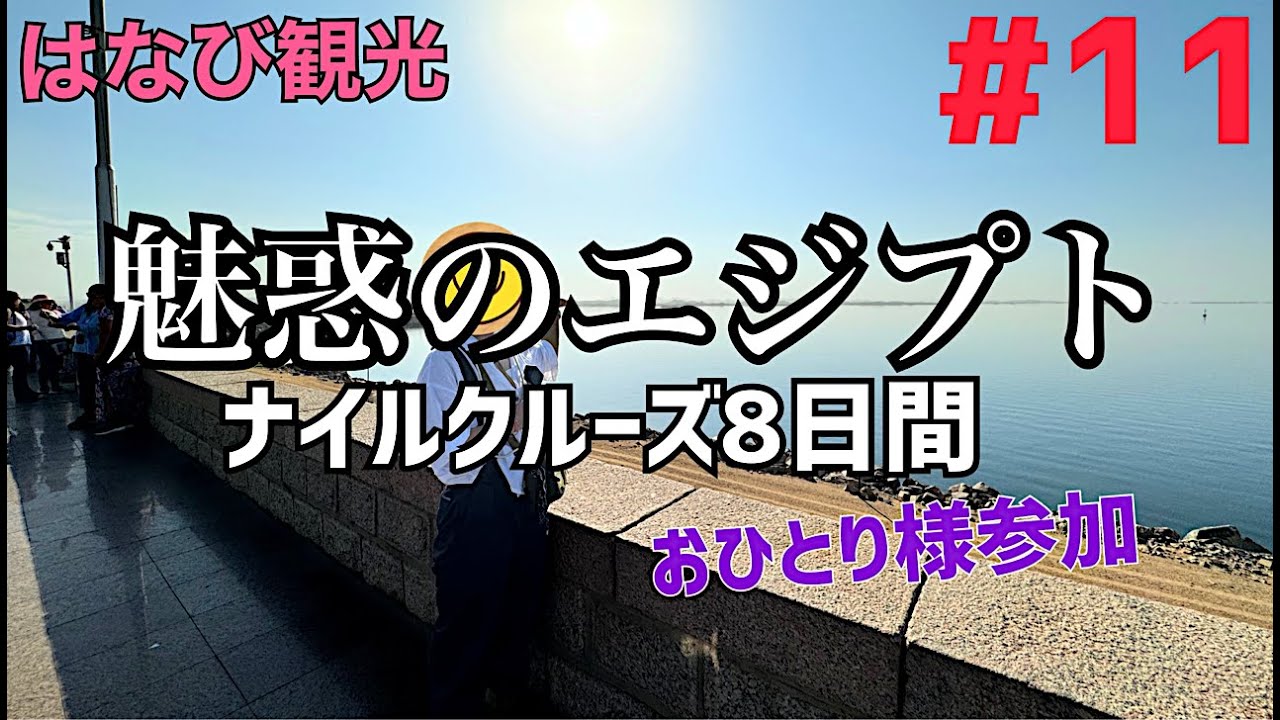 『＃１１ エジプトツアー』国内線でアスワンへ～アスワンハイダム観光～【はなび観光】【224】