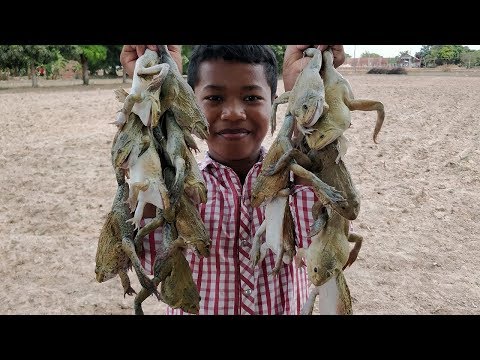 Yummy Cooking Frog with Holy Basil / Fried Frog Recipe