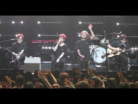 [4K] 190831 넬 - 고양이 (리앵콜) @Nell club concert [XX]