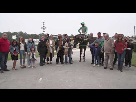 211031 c07 P Gelsi y JM Ferro/ JUSTICE CAT