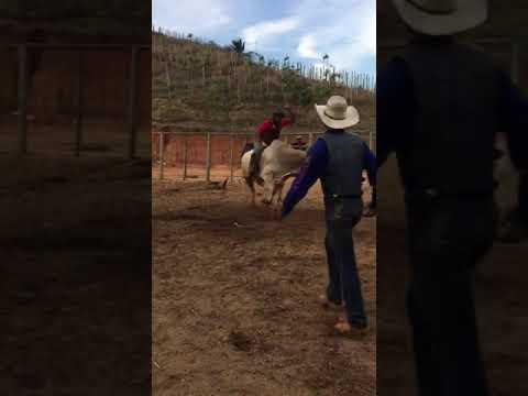 Junin vs LINHA DIRETA