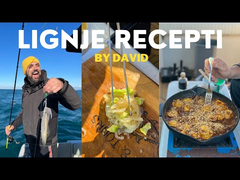 ULOVI I SKUHAJ: LIGNJE by David Skoko