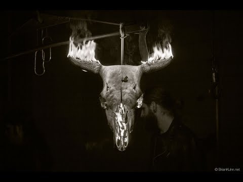 Bobaflex - A Spider In The Dark - Official Music Video
