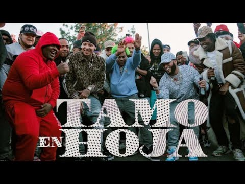 El Alfa El jefe x Dowba Montana x Mark B Tamo El Hoja Video Oficial