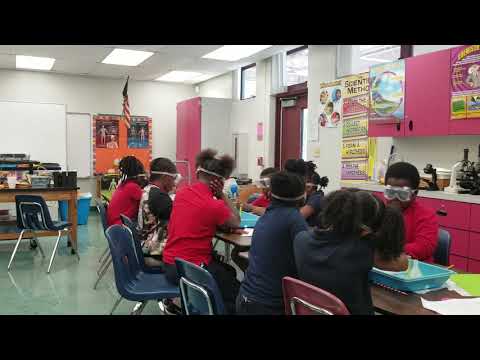 4th grade students of BEE Conducting experiment