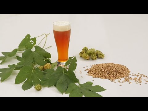 Grain & Hop Additions