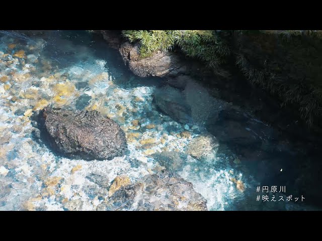 はじめての山県市めぐり　春・夏