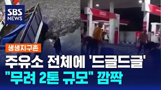 주유소 전체에 '드글드글'.."무려 2톤 규모" 깜짝 / SBS / 생생지구촌