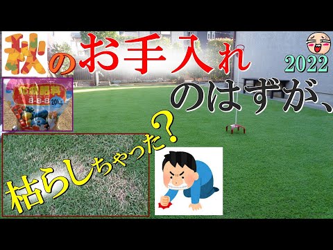 秋の芝生の肥料：いつ、どのように芝生に肥料を与えるのですか？完全ガイド  庭園