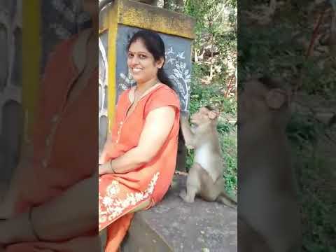 Munnky hair stylesheets in jammu vlcc bakshi nagar