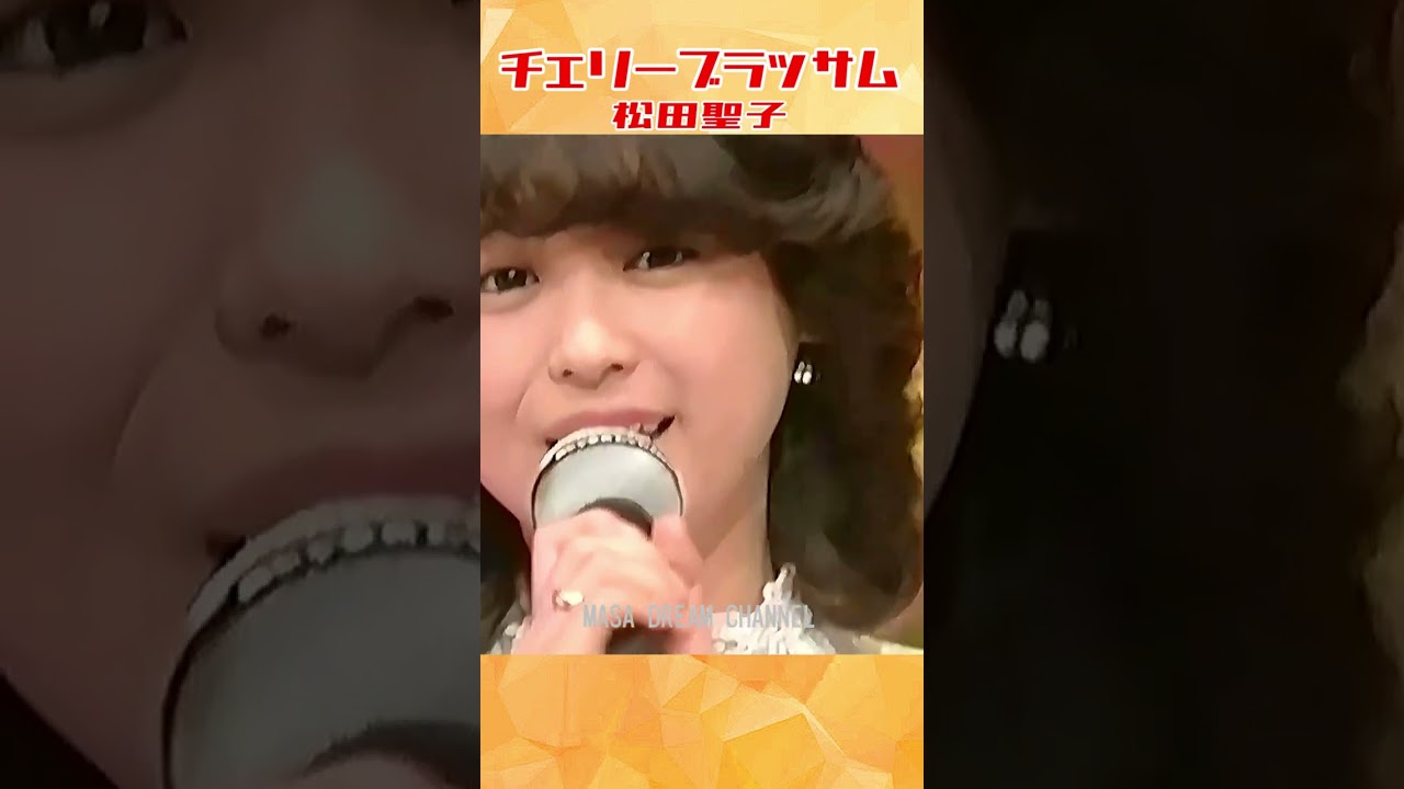 松田聖子 Seiko Matsuda 🔸【チェリーブラッサム Cherry Blossom】1981年＃shorts