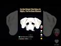 Do Not Watch This Video At Night You Ve Been Warned Creepy