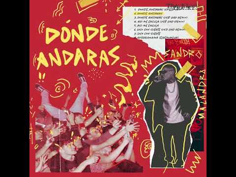 Dónde Andarás (Visualizer) - Sandro Malandro
