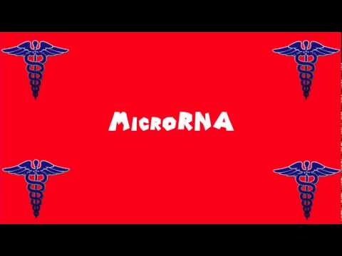 Pronounce Medical Words ― MicroRNA