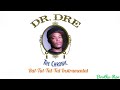 Dr. Dre - Rat-Tat-Tat-Tat Instrumental