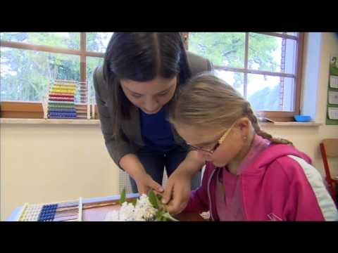 download lagu mp3 mp4 Zajcia Rewalidacyjne, download lagu Zajcia Rewalidacyjne gratis, unduh video klip Zajcia Rewalidacyjne