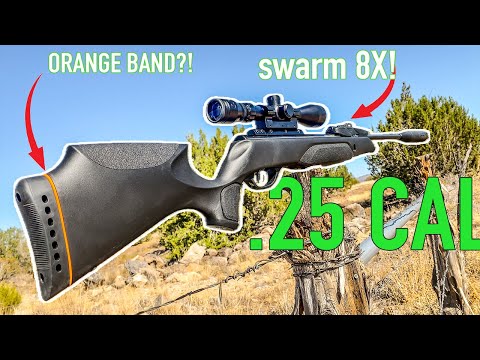 GAMO .25 CAL SWARM IS HERE! - let’s review it 😁