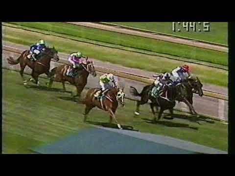 1992 St George Stakes - Let's Elope