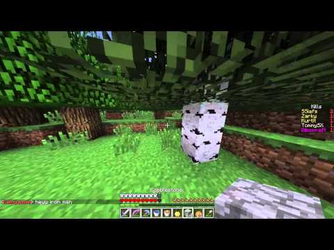 Aureus Pupillam UHC: S8E5 - The Chase