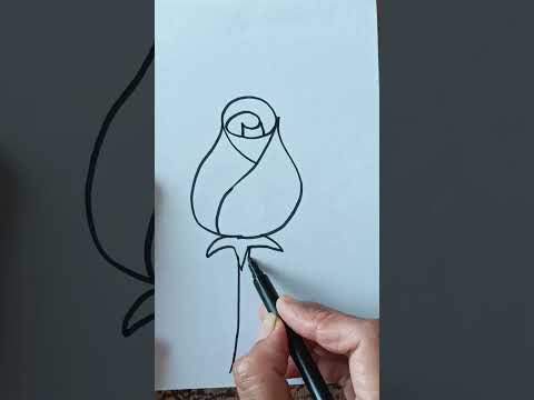 how to draw beautiful and easy rose🌹 drawing with y