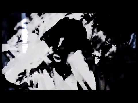 Zwaremachine - PULSE (official video)